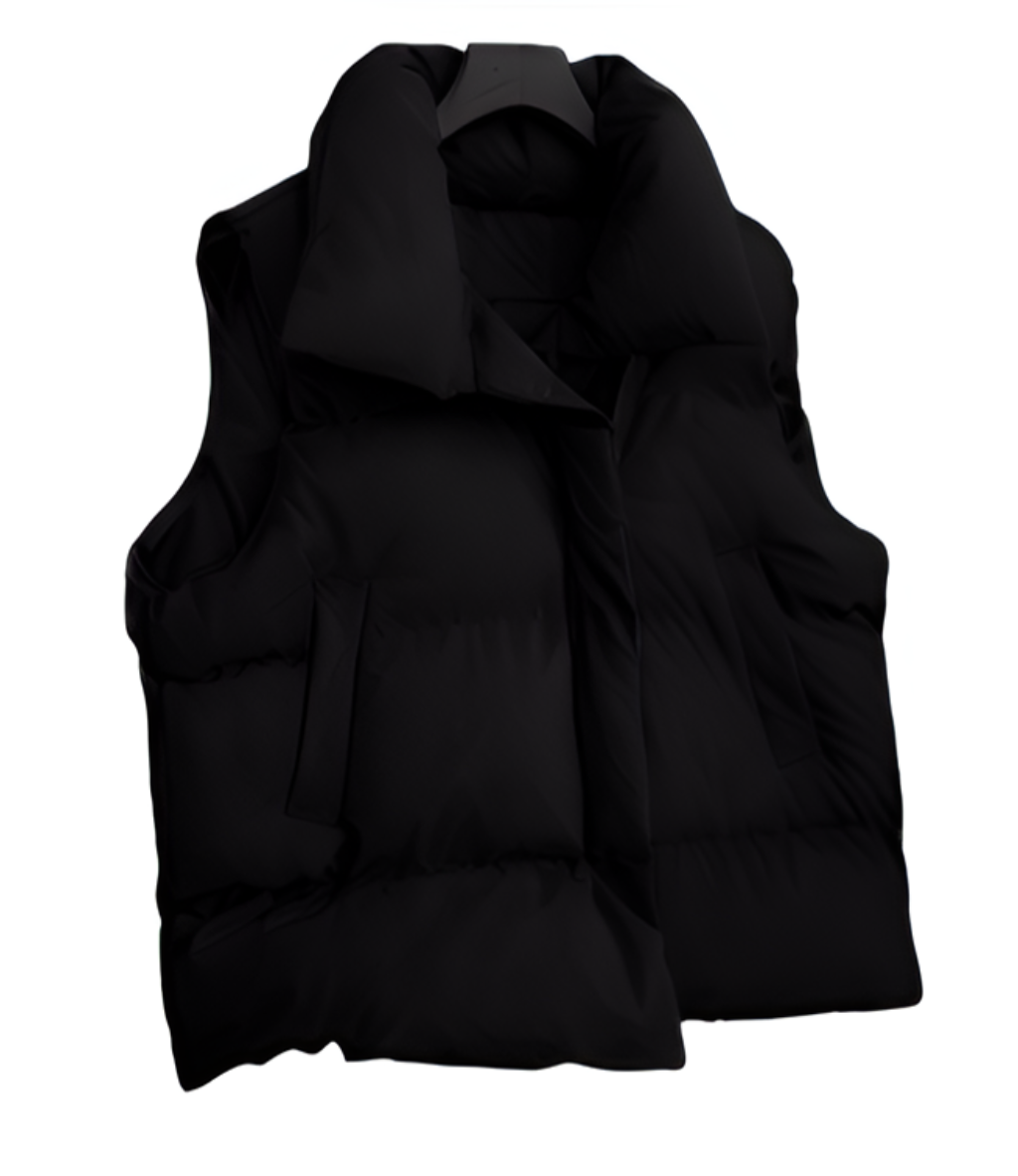 Winter Puffer Vest