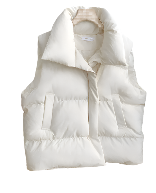 Winter Puffer Vest